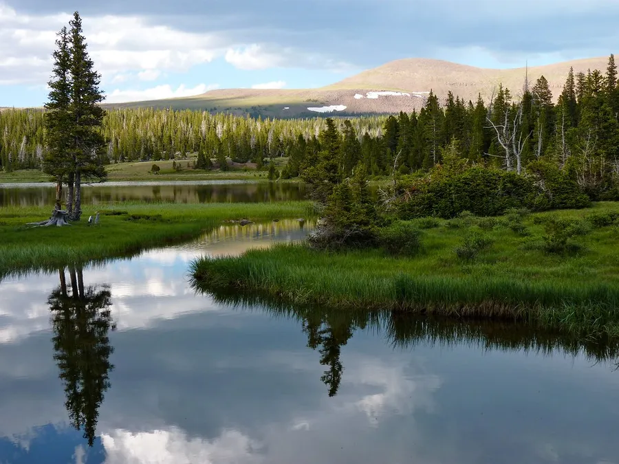 Ashley National Forest with lakes that mirror the sky.