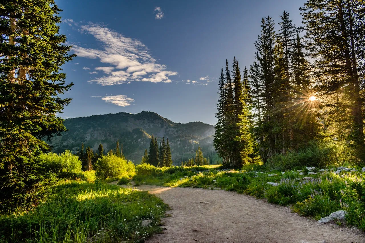 Green pine trees near mountains under a blue sky in Salt Lake City, Utah.