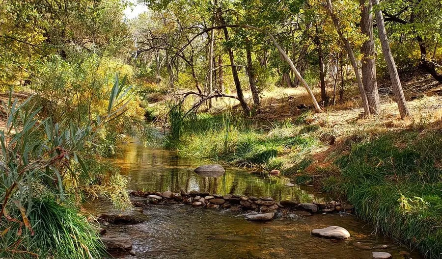 A stream surrounded by greenery at Mill Creek Trail near Moab, Utah.