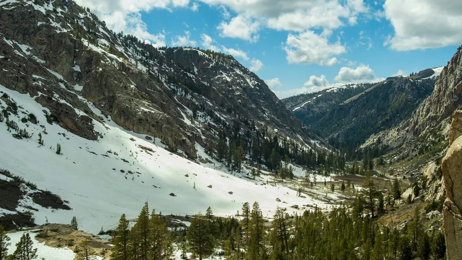 A snowy slope and wooded area at Stanislaus National Forest.