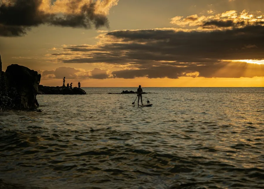 A surfer with her dog and a paddle on a surfboard at Waimea Bay, Hawaii.