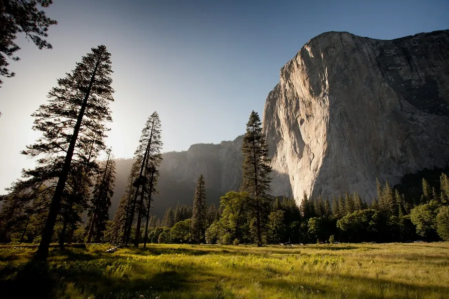 A photo of Yosemite Valley and its greenery at Yosemite National Park.