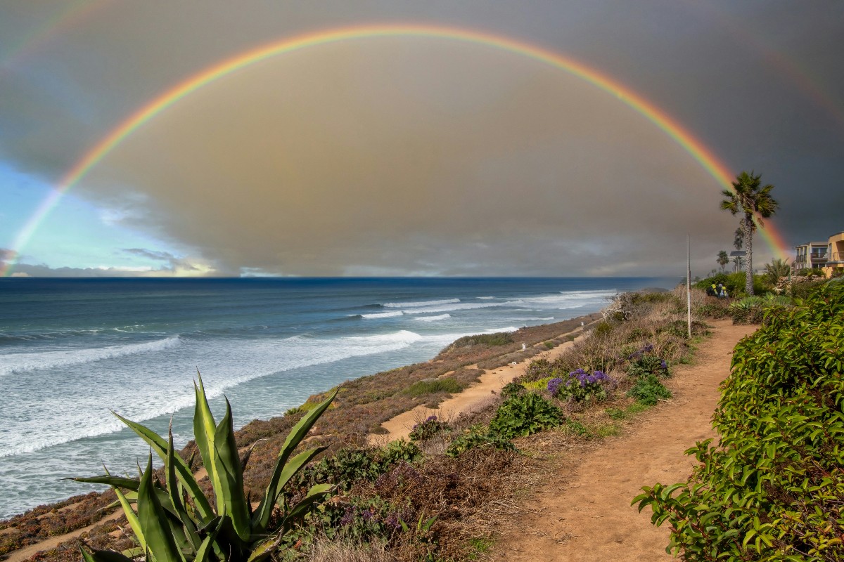 Del Mar Beach in California with palm trees and waves on a cloudy day before sunset.