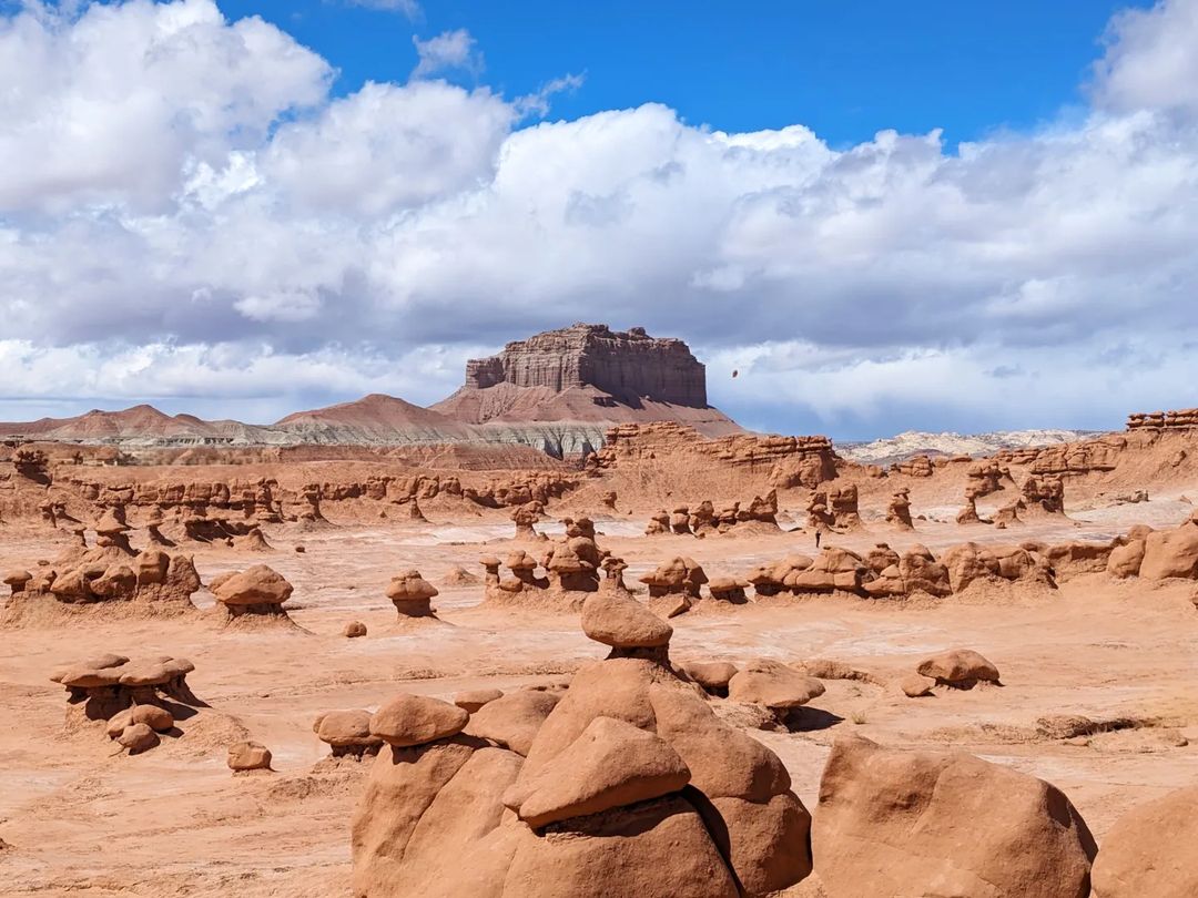 Small, mushroom-shaped rocks in Goblin Valley State Park, Utah.