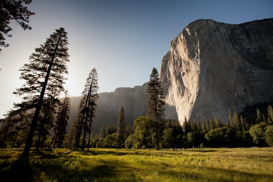 A photo of Yosemite Valley and its greenery at Yosemite National Park.